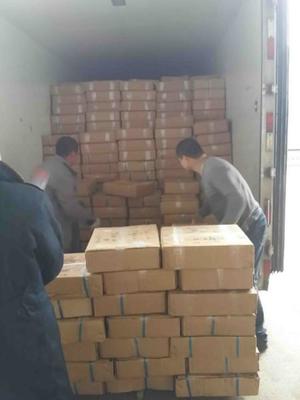 吳中區(qū)搬運(yùn)裝卸服務(wù)優(yōu)選指南 專業(yè)、高效、一呼百應(yīng)